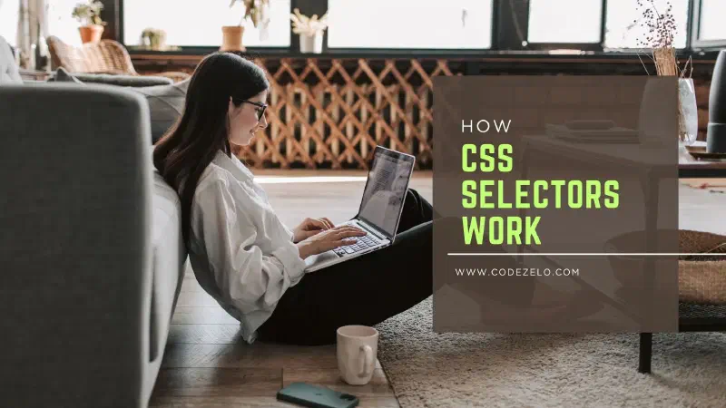&ldquo;how to use selectors in CSS&rdquo;